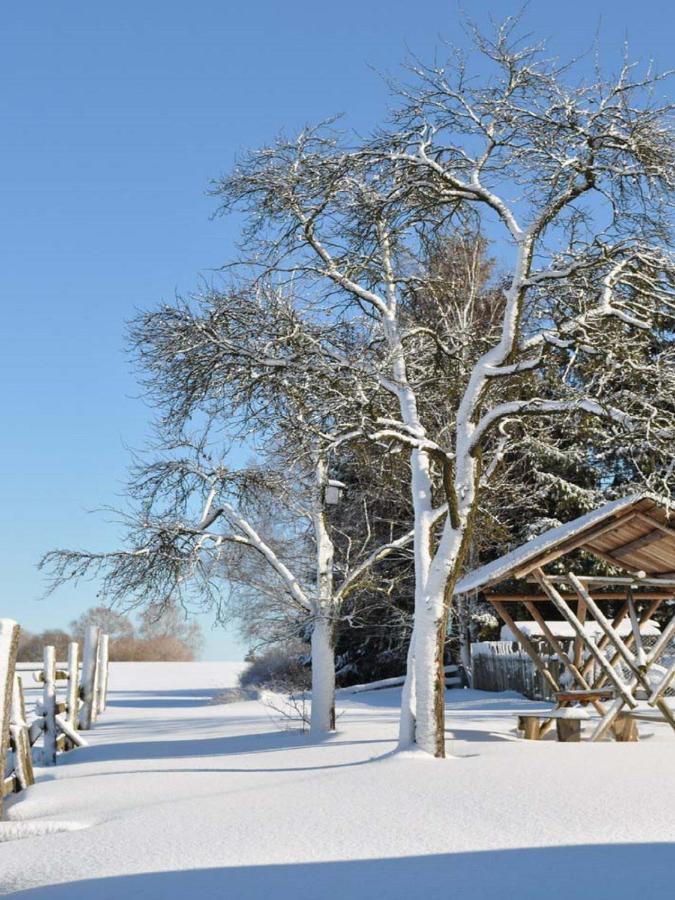 Feriengut Dietzsch Leilighet Poritzsch Eksteriør bilde